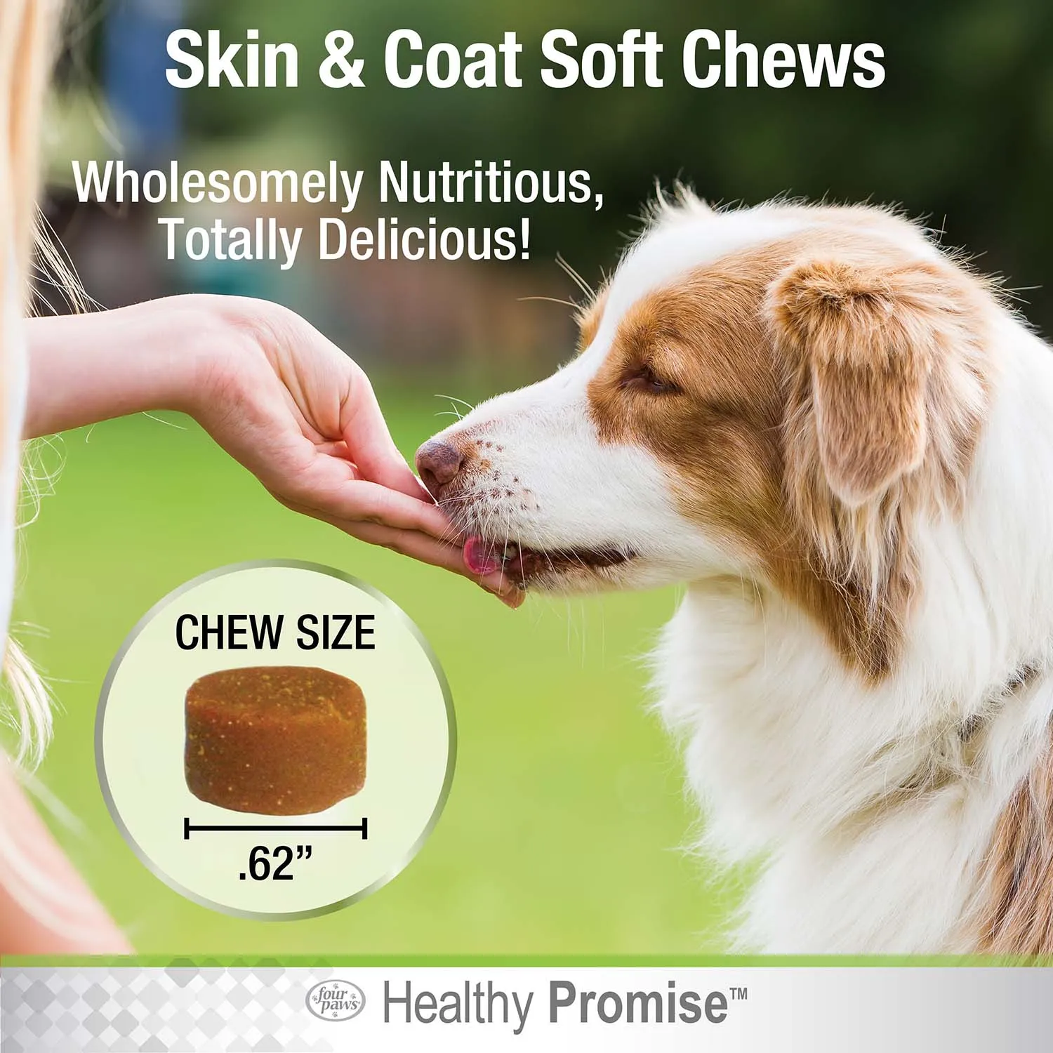 Healthy Promise Skin and Coat Soft Chews for Dogs, Savory Liver, 90 ct